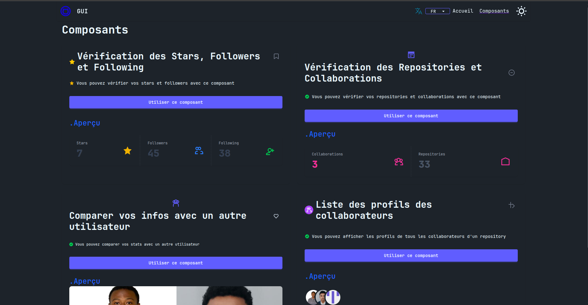 GUI - Github Stats NPM Package screenshot 3